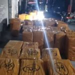 chincargo 12